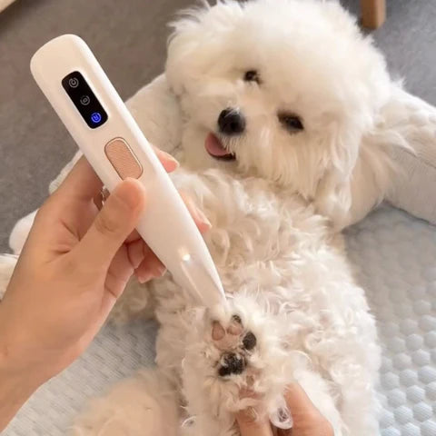 Home Comforts Collection™ Paw Pet Trimmer