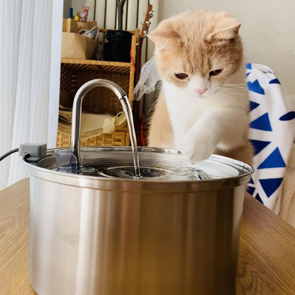 The Kitty Stainless Steel Water Fountain